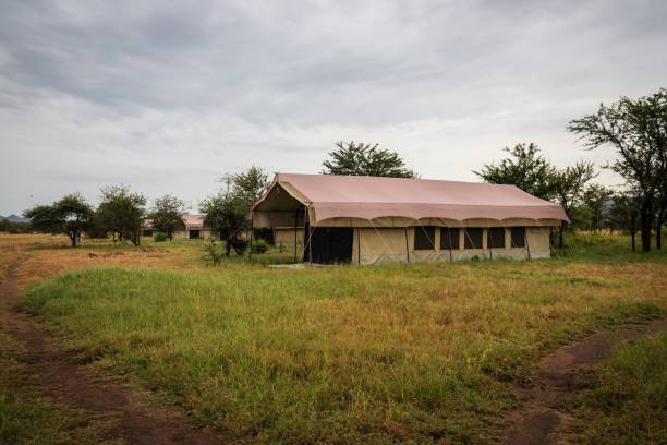 Tent stitching in workshop