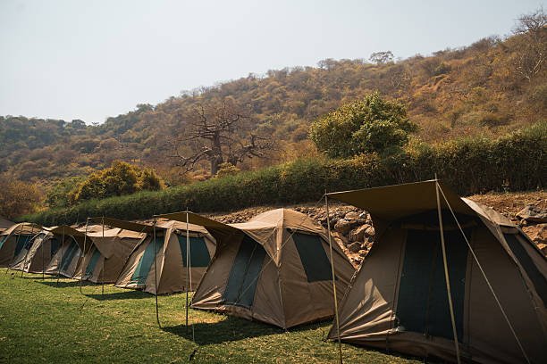 Sustainable Materials