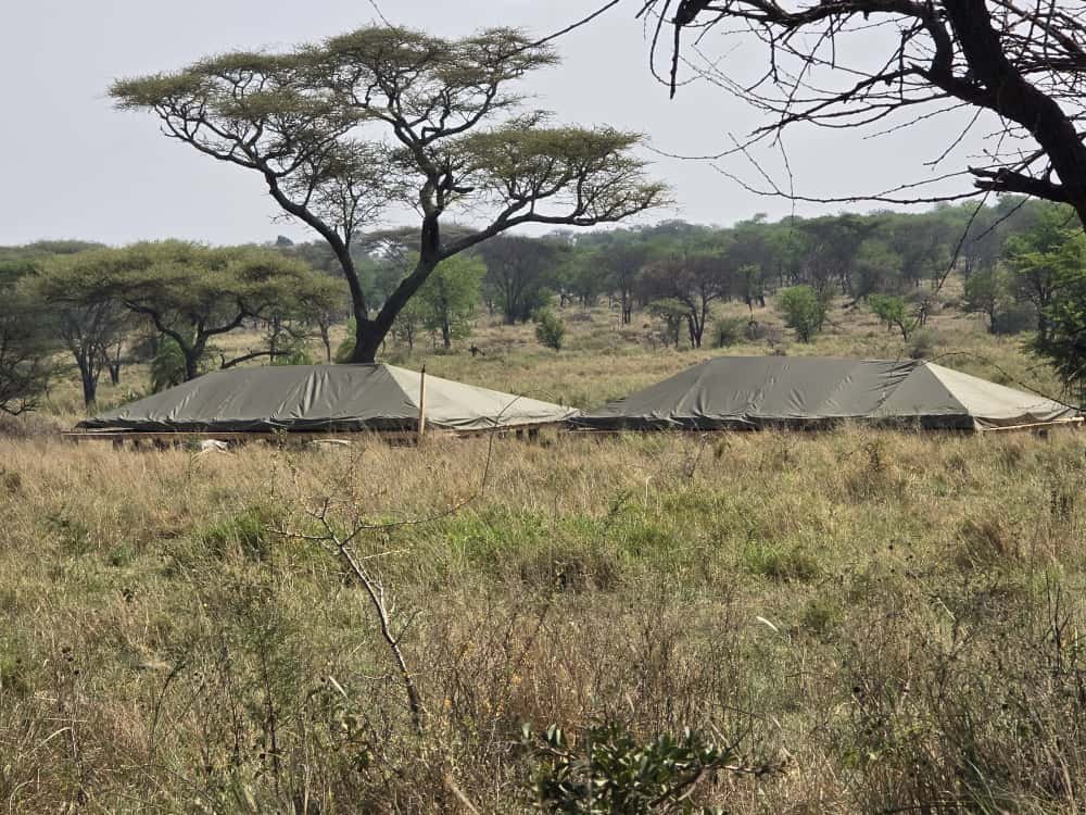 Community Engagement