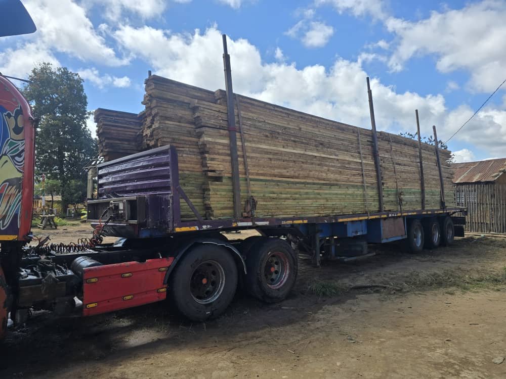 Woodworking Workshop