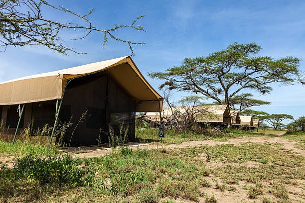 Eco Tents & Lodge